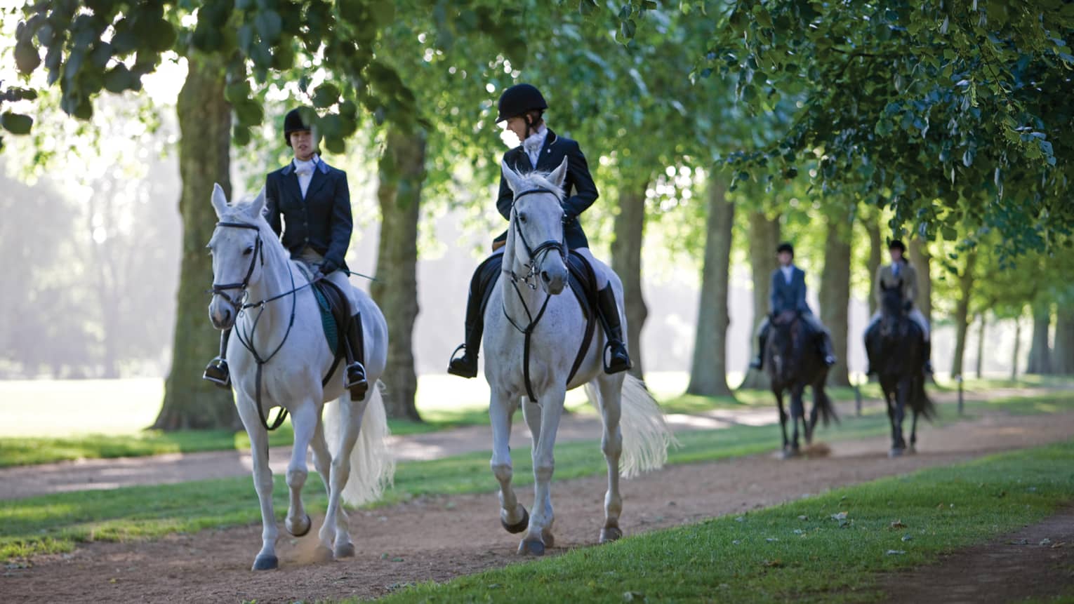 Hyde Park, group rides horses along park path