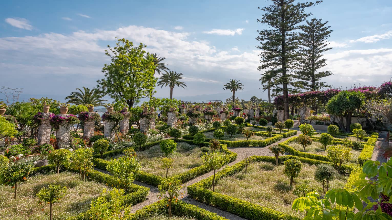 A small garden with paths, hedges and a variety of plant life.