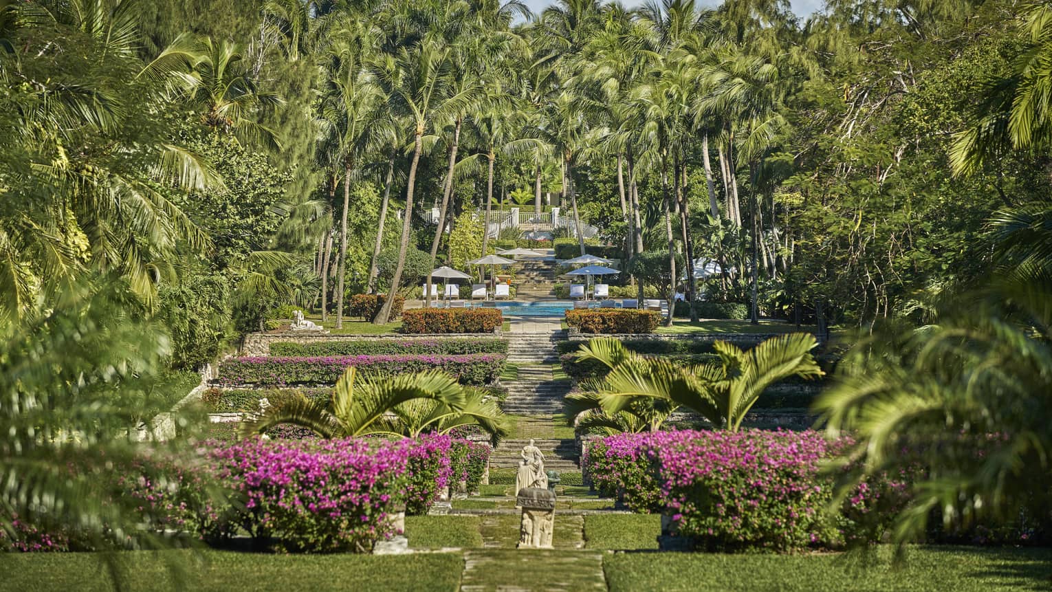 A large garden with pink flowers and tall palm trees.
