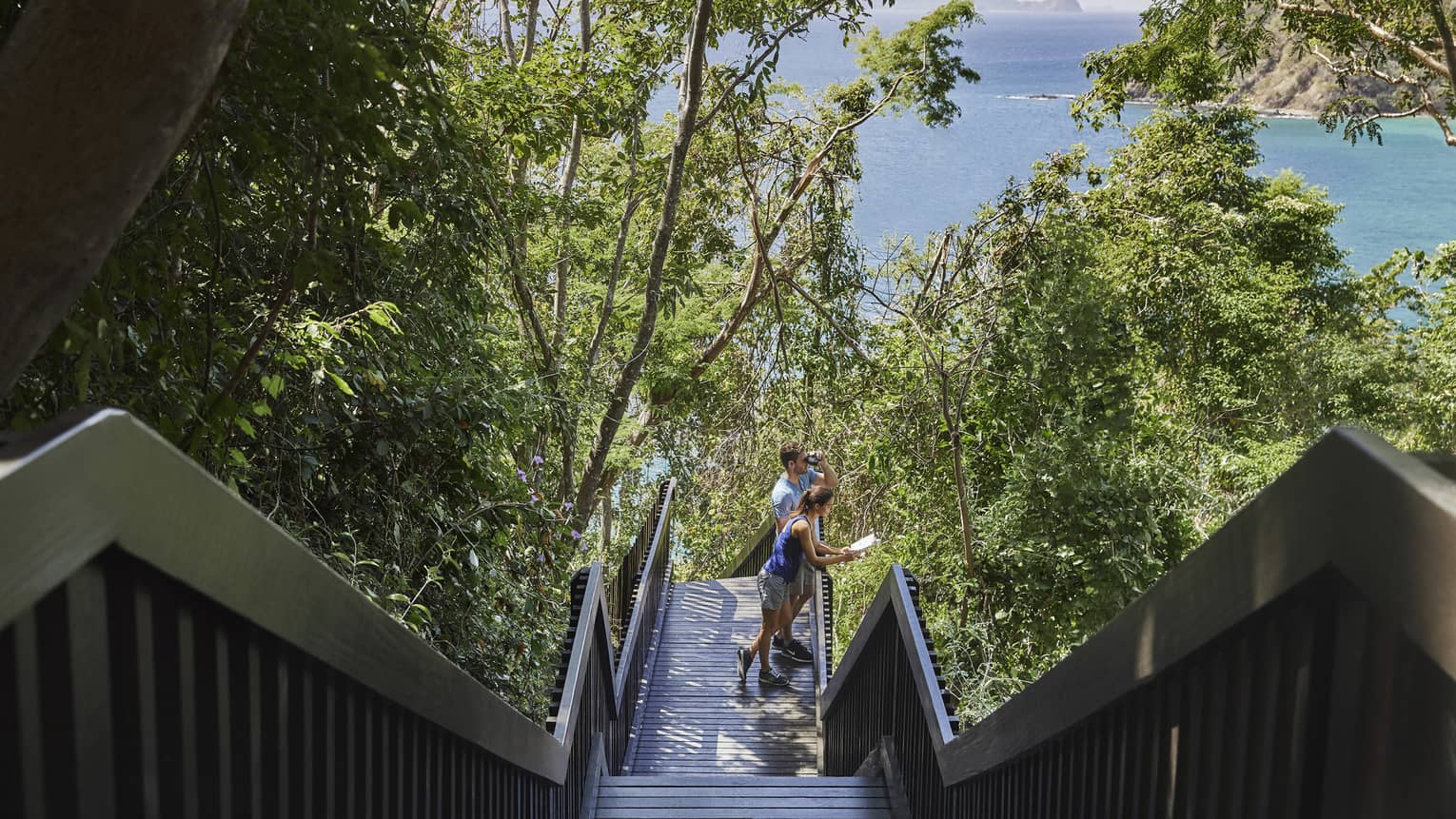 Two guests look out over a banister as they hike through green trees