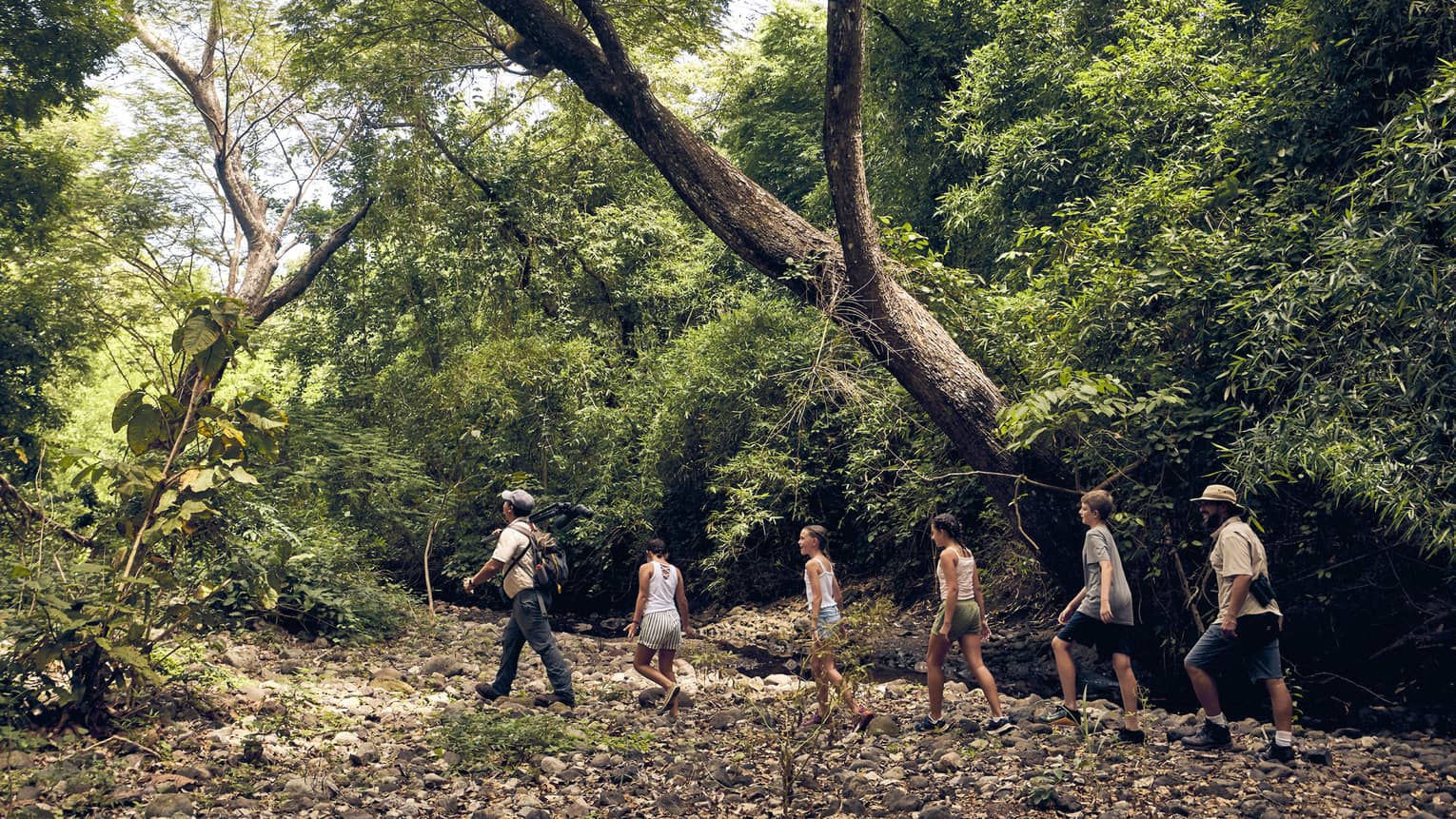 A group of people hiking through a forest.