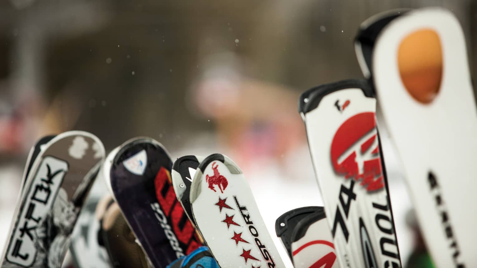The tails of a variety of branded ski sets.