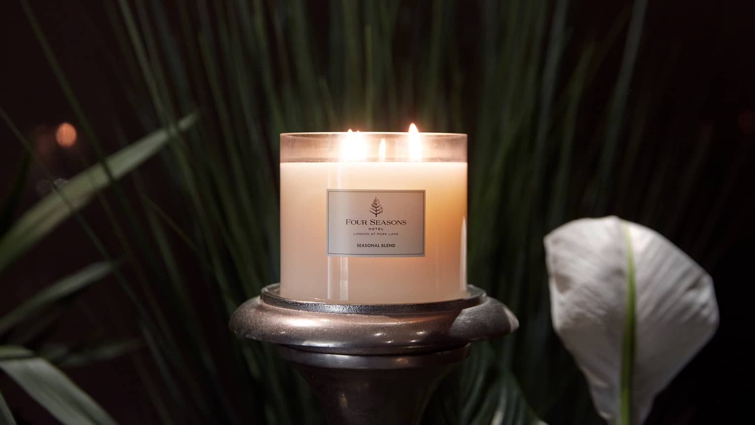 A candle on a stand surrounded by plants.