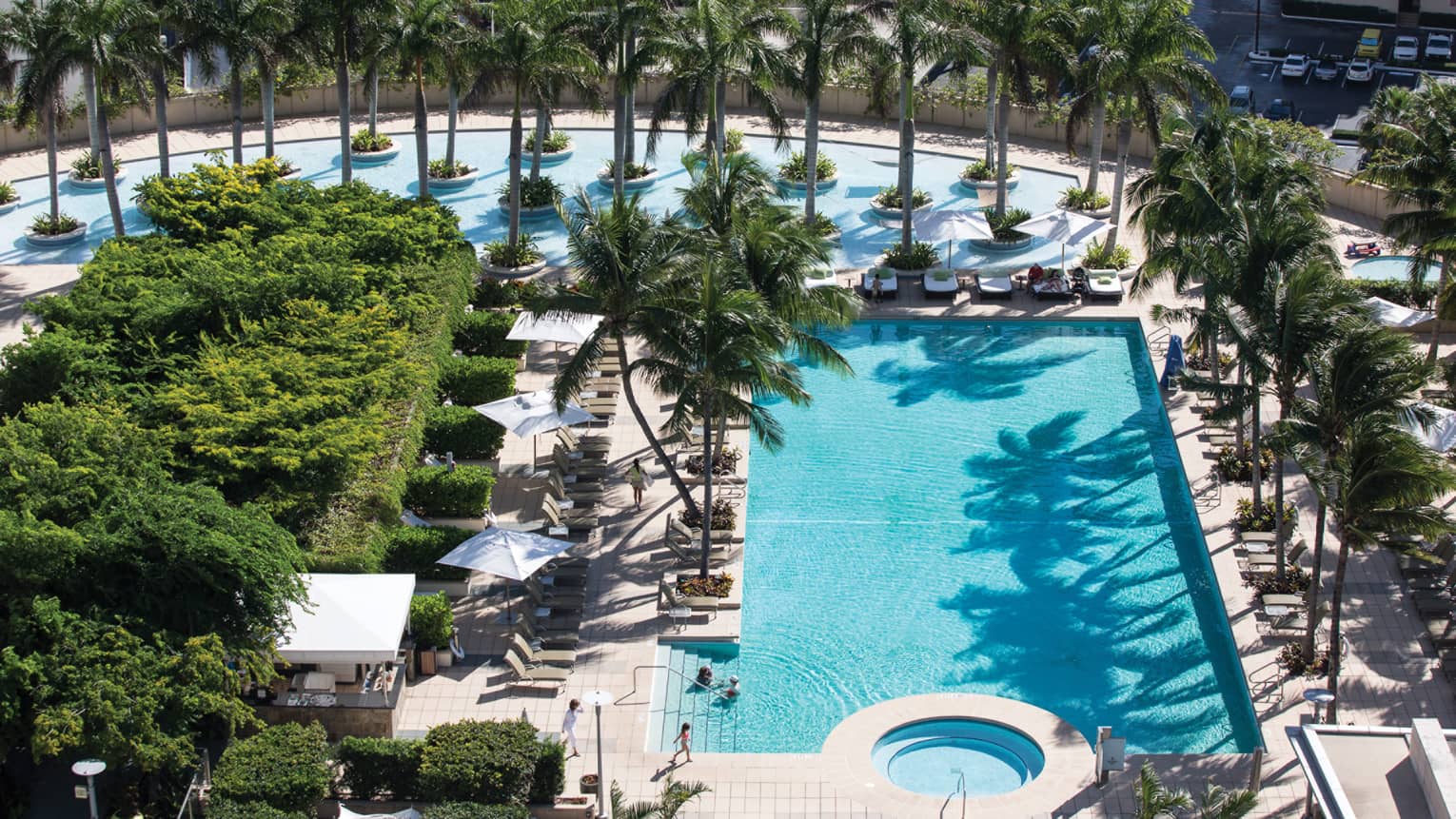 An outdoor pool surrounded by palm trees during a bright and sunny day.