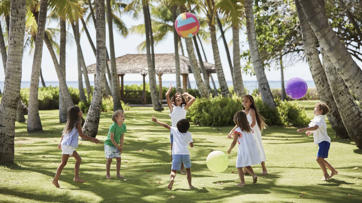 Group of children play with large colourful balls on green lawn under palm trees