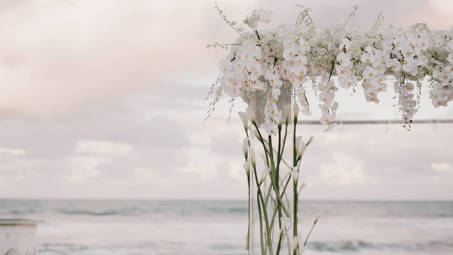 White orchids floral display against sky and ocean