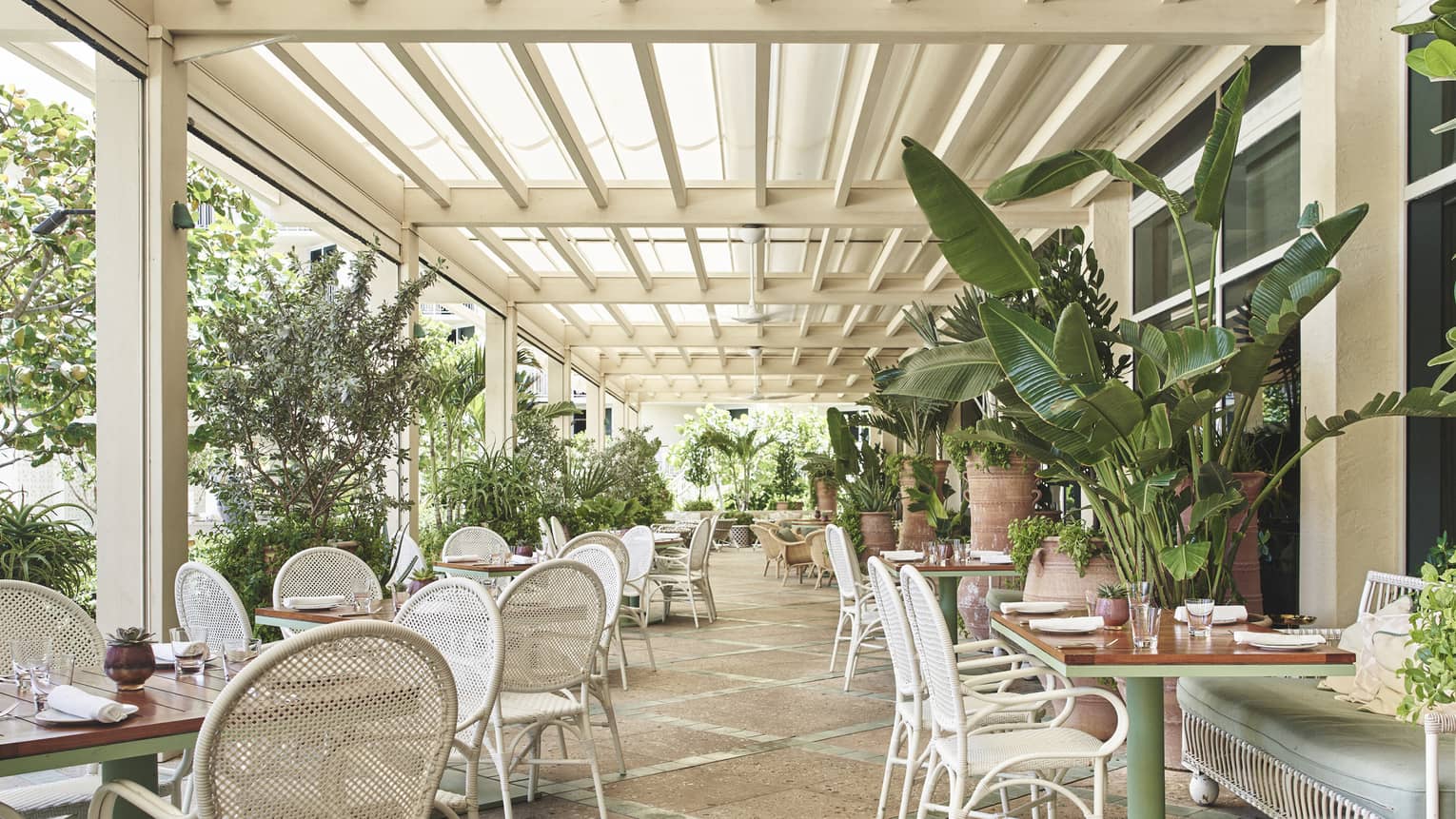 An outdoor eating area with light wood features and plants.