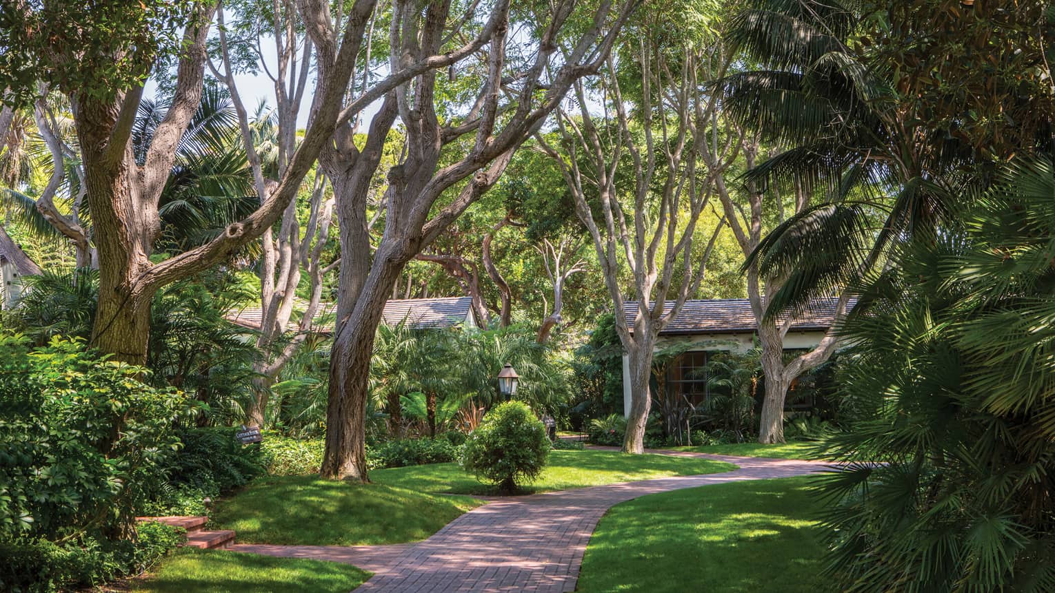 Brick path through garden, bungalows behind tall trees 