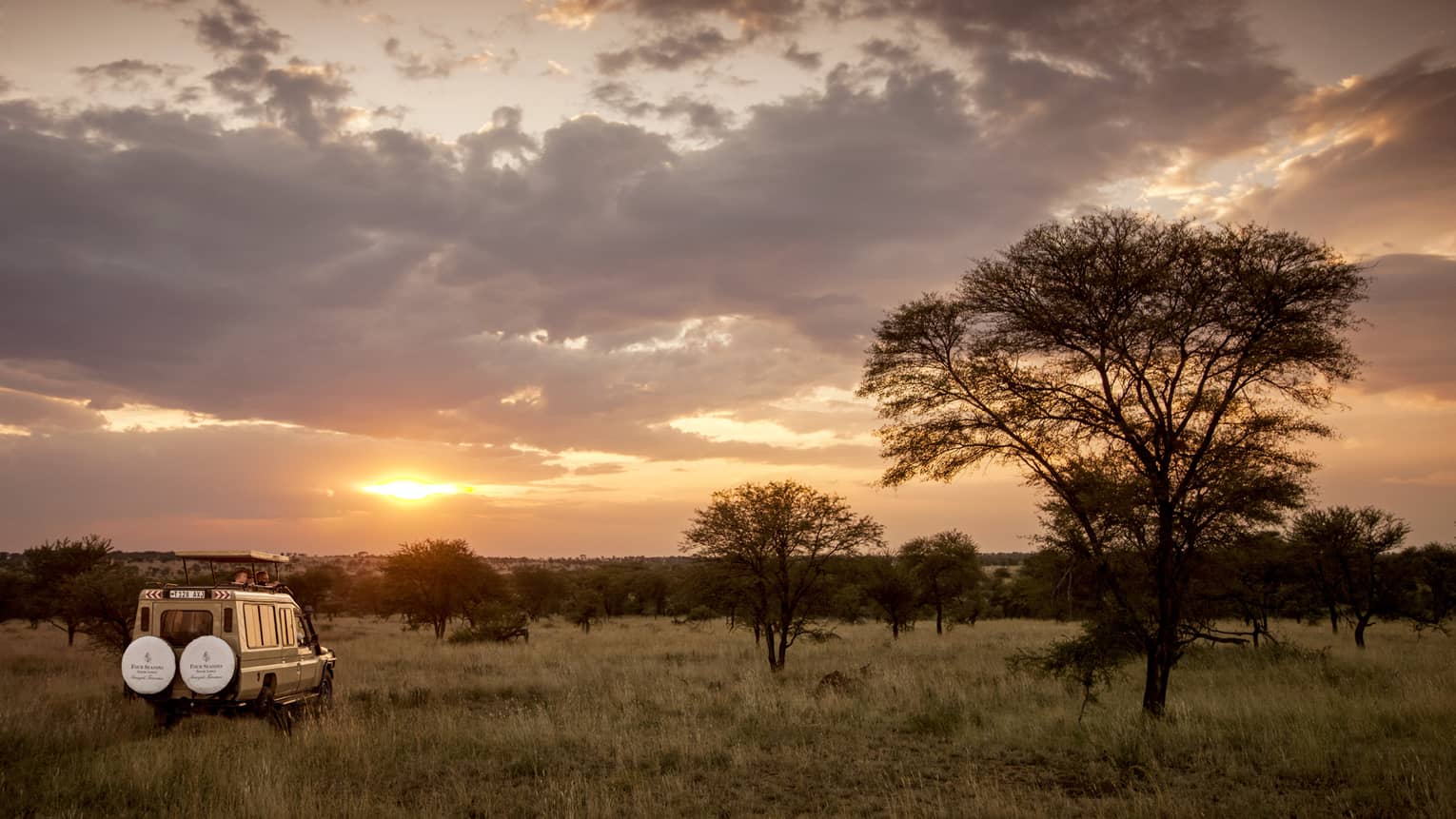 Sunset over safari jeep parked in grassy field by tree