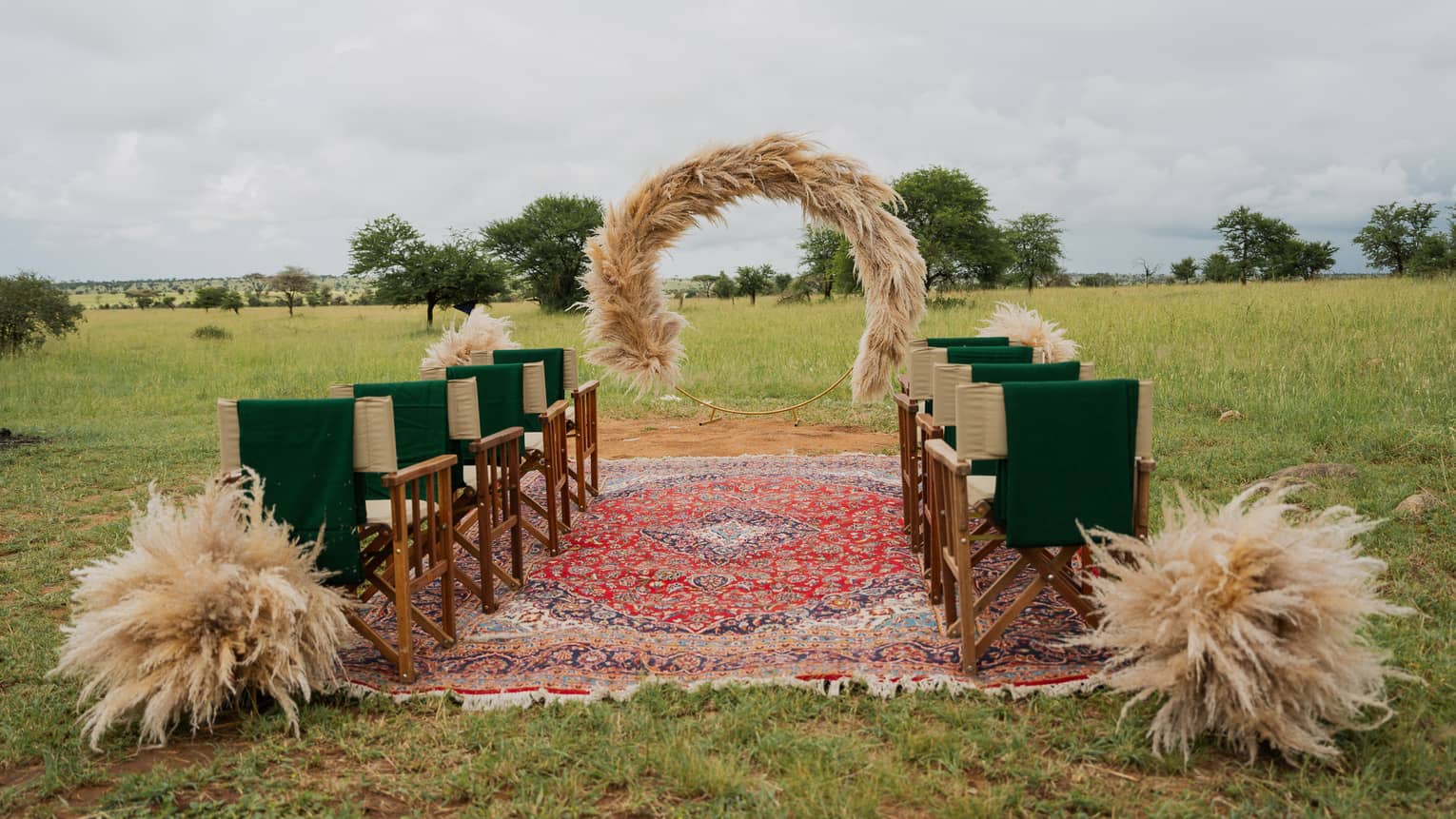 Outdoor wedding setup of tan director?s chairs draped with dark green fabric flanking ethnically-inspired red rug aisle, leading to natural grass arbor
