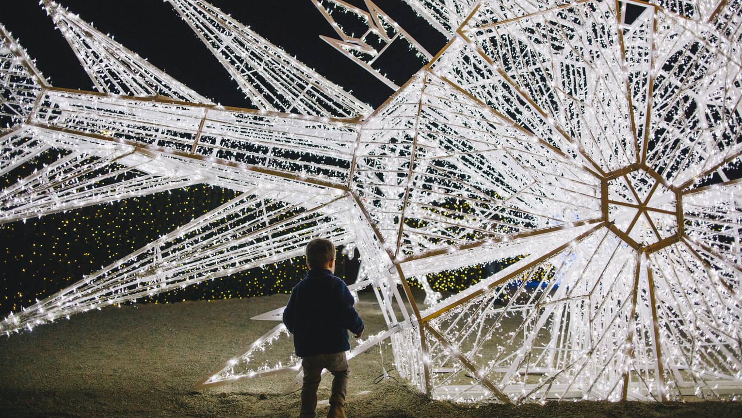 A little boy run toward a large clear christmas light display