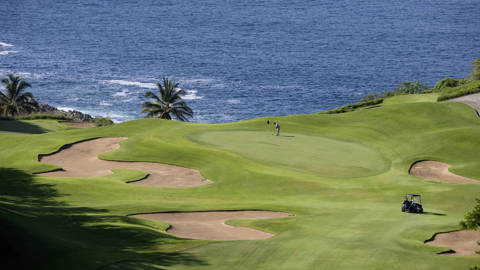 An oceanside golf course surrounded by palm trees