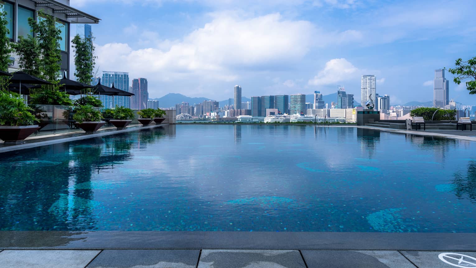 An infinity pool with blue water reflecting the sky, surrounded by potted plants and shaded lounge chairs. A city skyline, including the harbour, is visible.