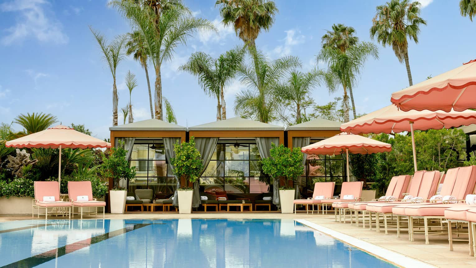 Outdoor pool surrounded by pink umbrellas and lounge chairs with palm trees in the background