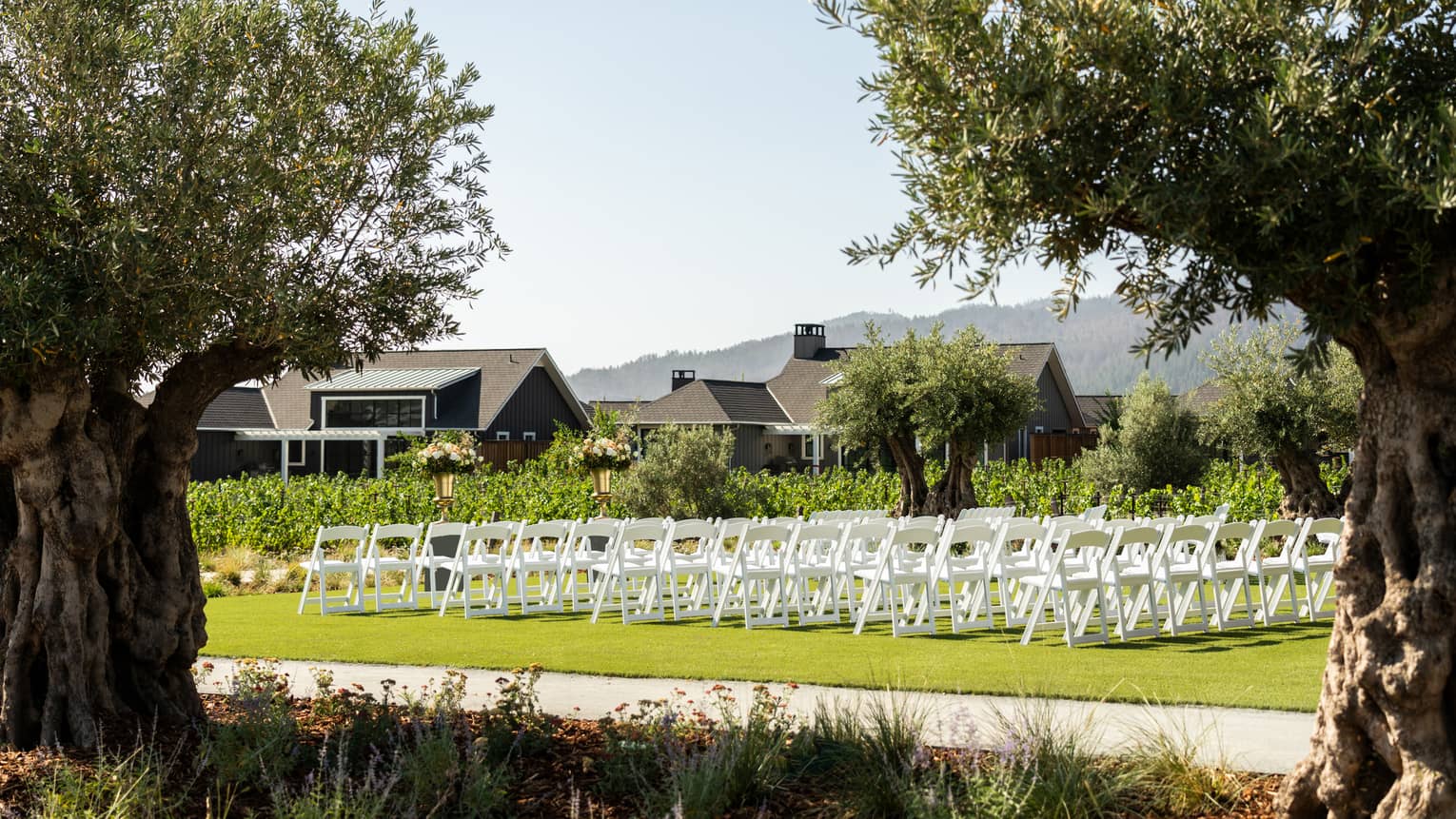 Outdoor lawn set with seven rows of white folding chairs and framed by two large trees