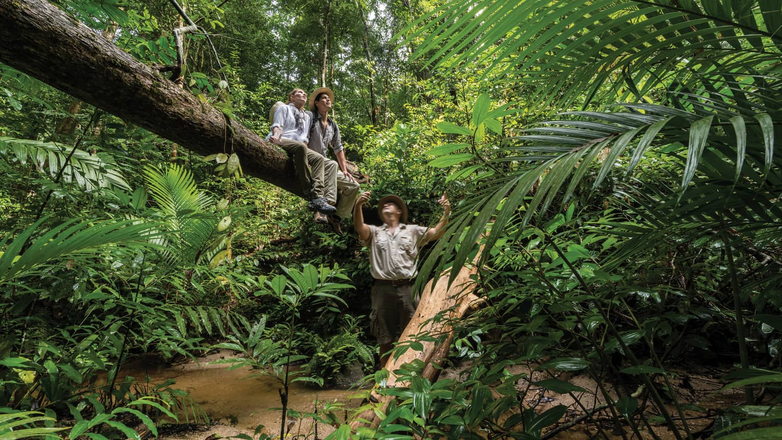 Couple sit on large downed tree in rainforest as guide points up 