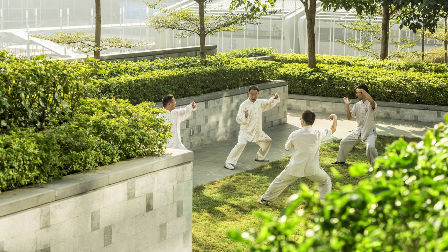 Mean wearing white practice tai-chi in sunny garden