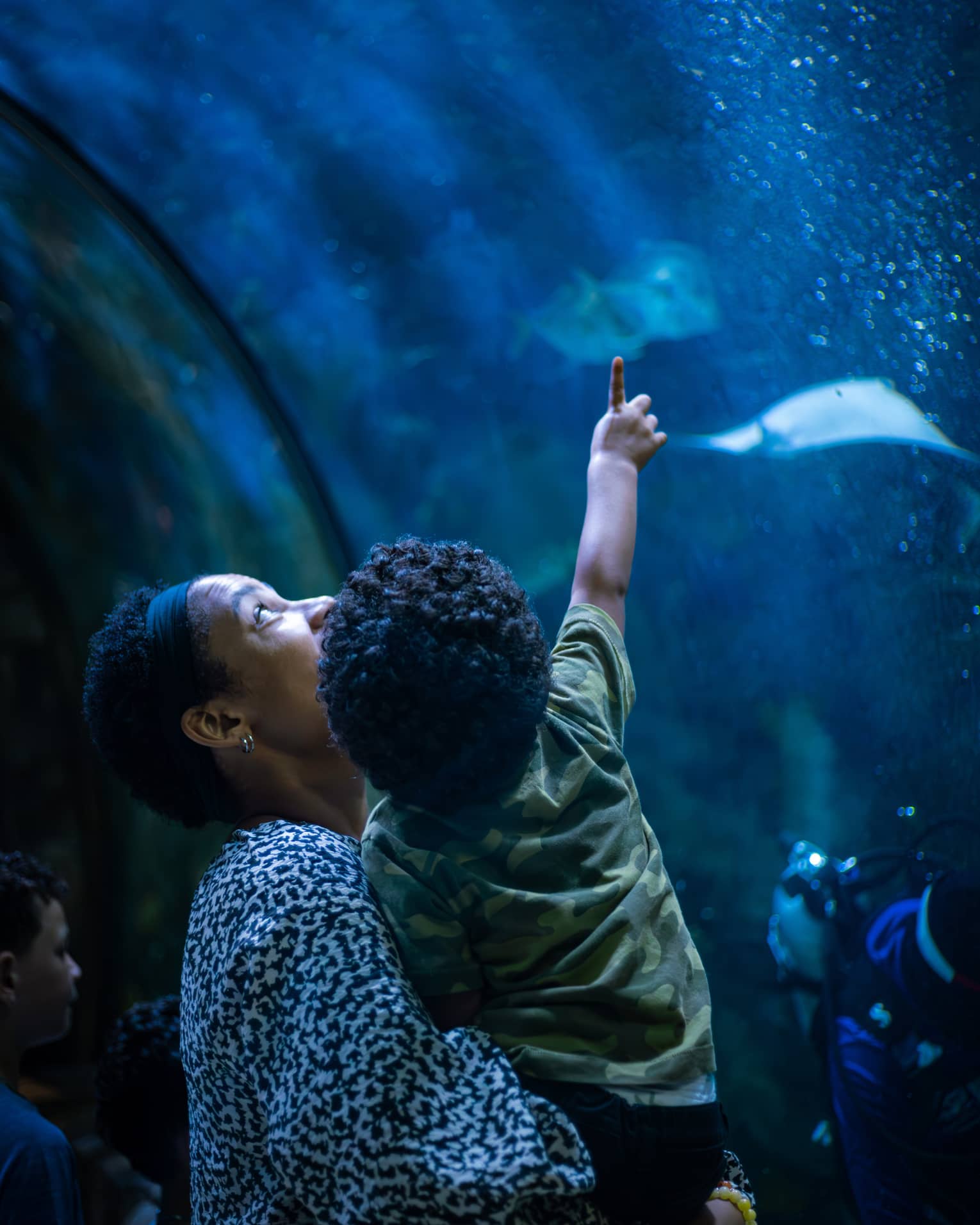 View from behind of a parent holding a toddler who is pointing upward at two stingrays in a bubbly, deep-blue aquarium.