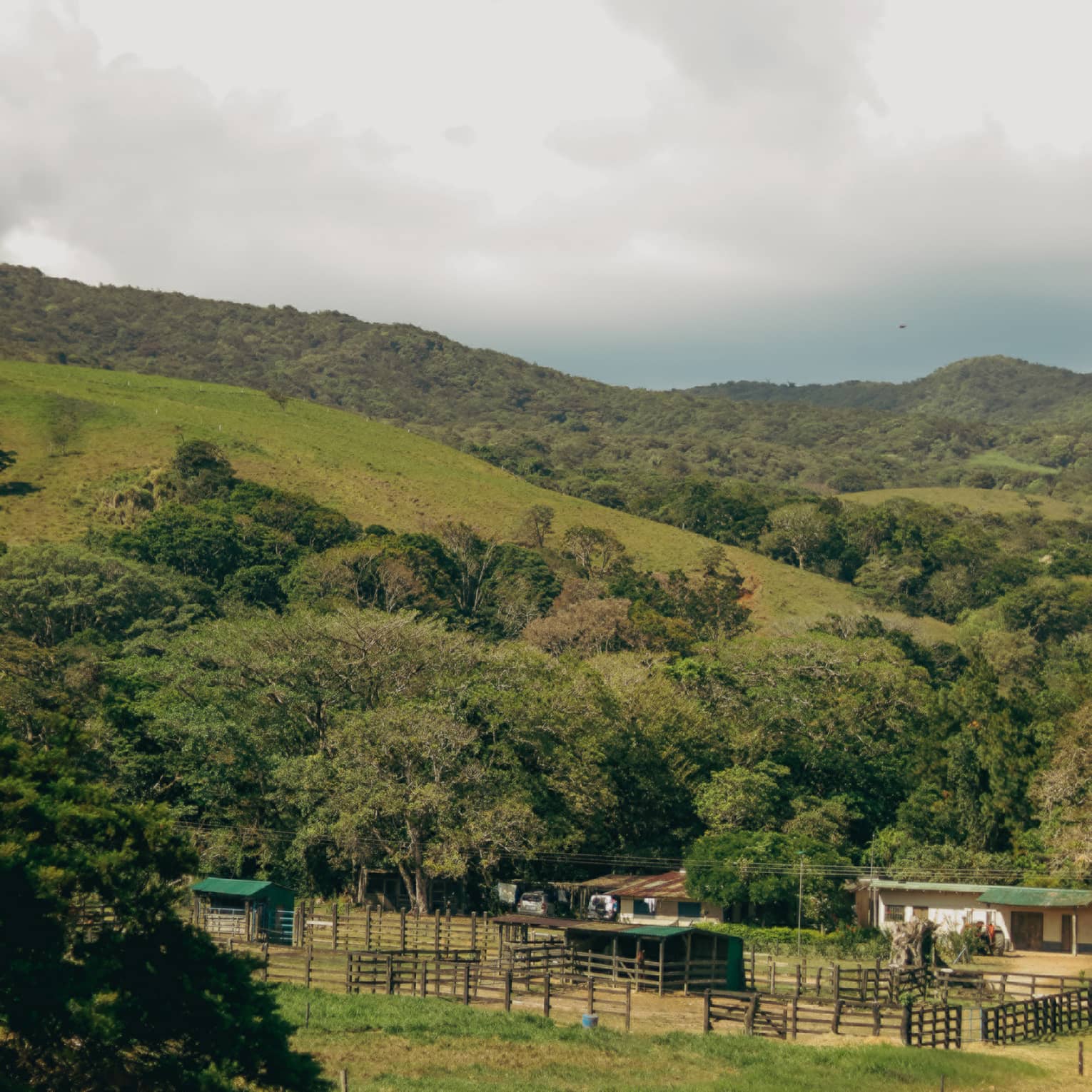 A vintage-style jeep rides along a dirt road, passing by a small farm in the hilly Costa Rican countryside