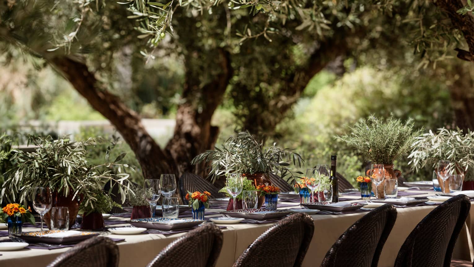 Close-up of dining table with white tablecloth set with wine glasses, vases with fresh green herbs, surrounded by trees