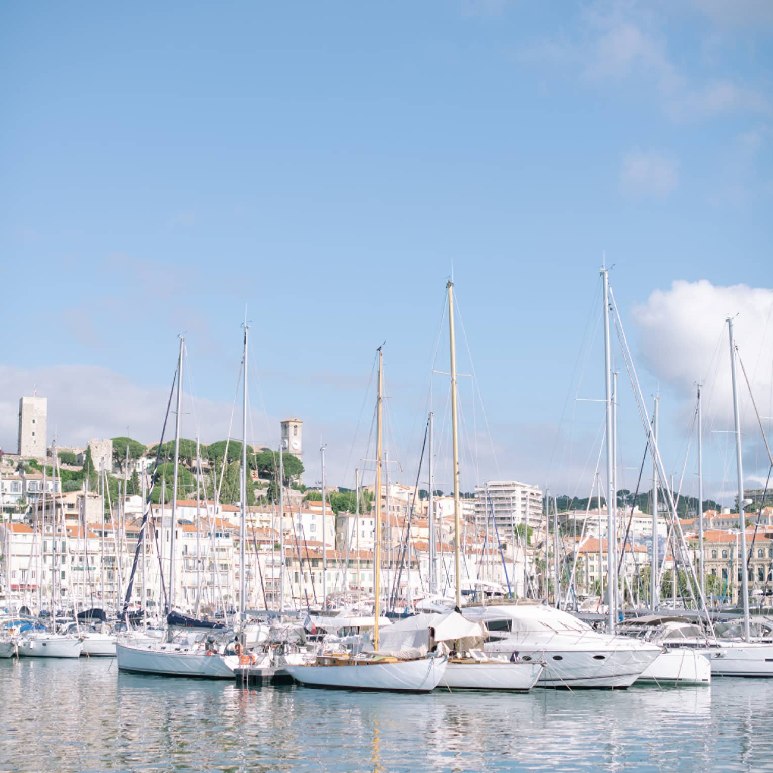 Multiple sailboats docked at a harbour