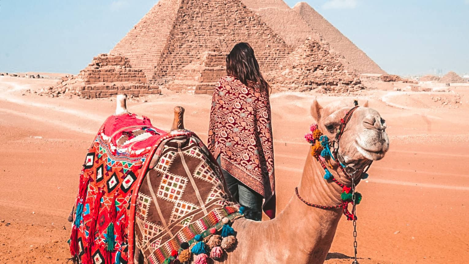 A woman behind a camel covered in colourful blankets looking at pyramids in the distance.