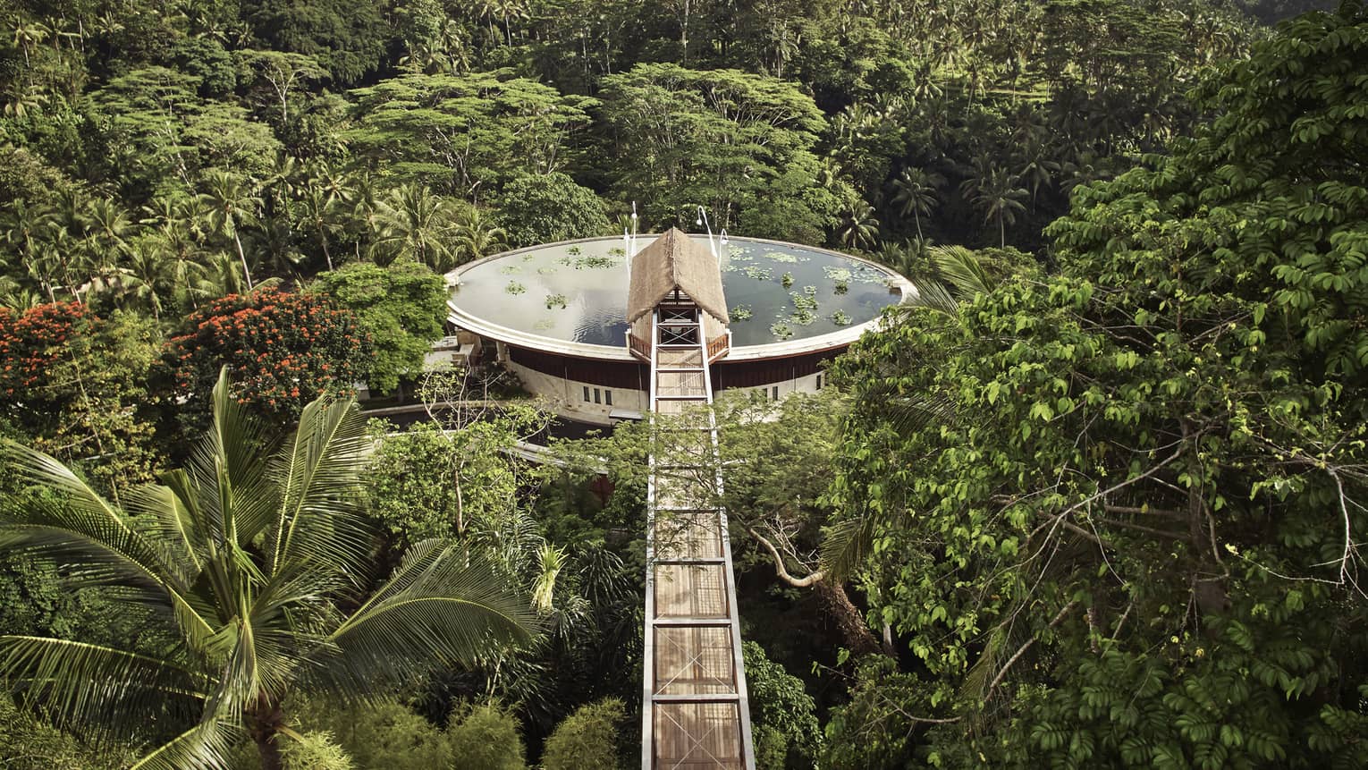 Aerial view of large water-filled lotus pond rooftop pool surrounded by lush palms and forest, long wood footbridge