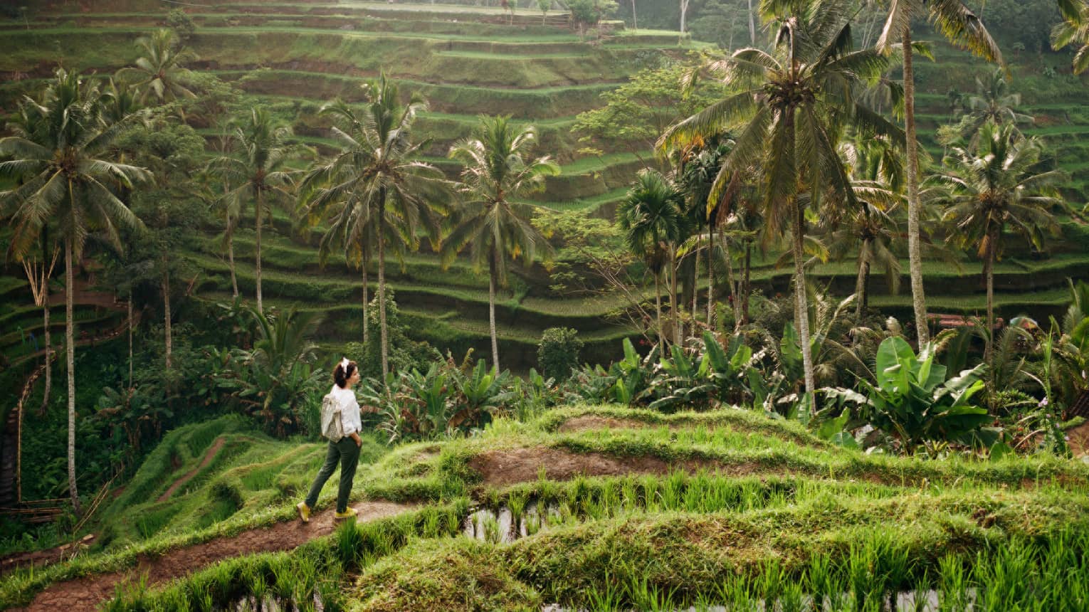 Side view of a guest strolling along a grass-lined trail, palm trees and tiered rice terraces rising in the lush distance.