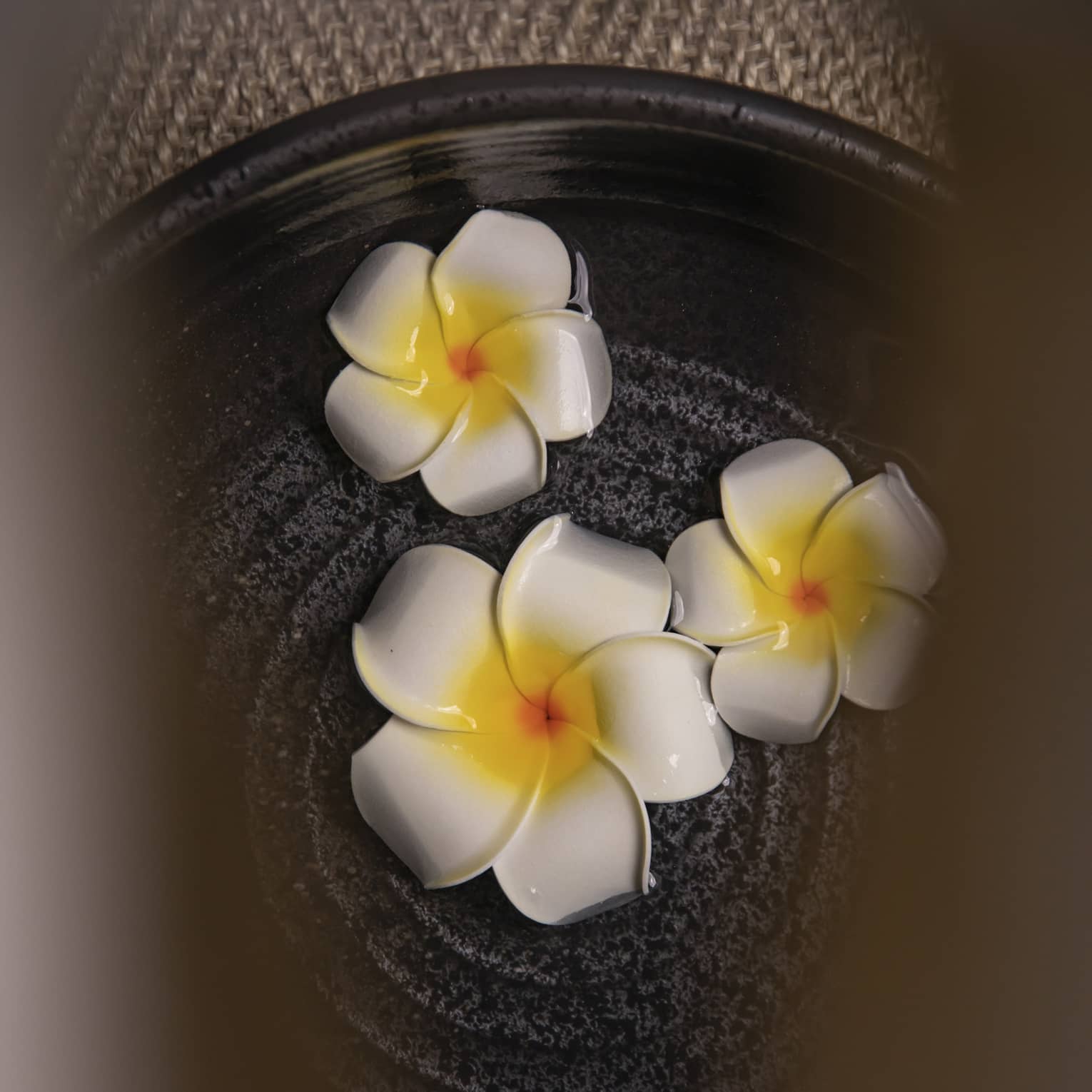 Three flowers in bowl at luxury hotel spa