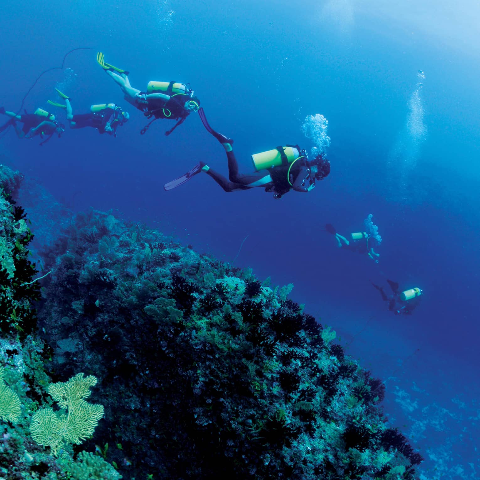Group of scuba divers explore ocean coral reef underwater