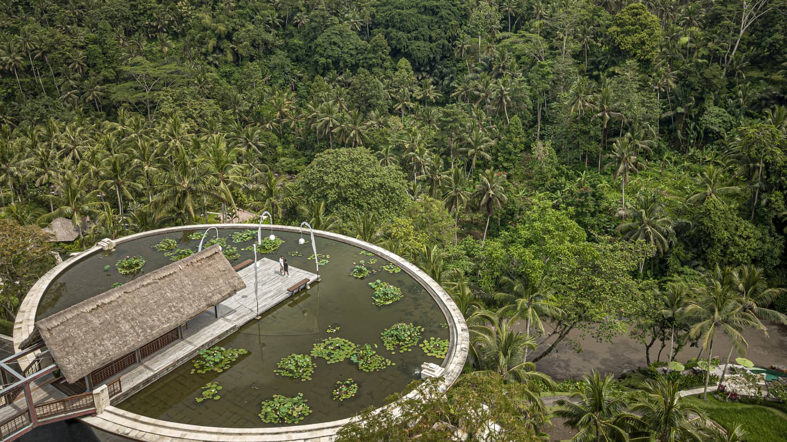 The Lotus Pond aerial view