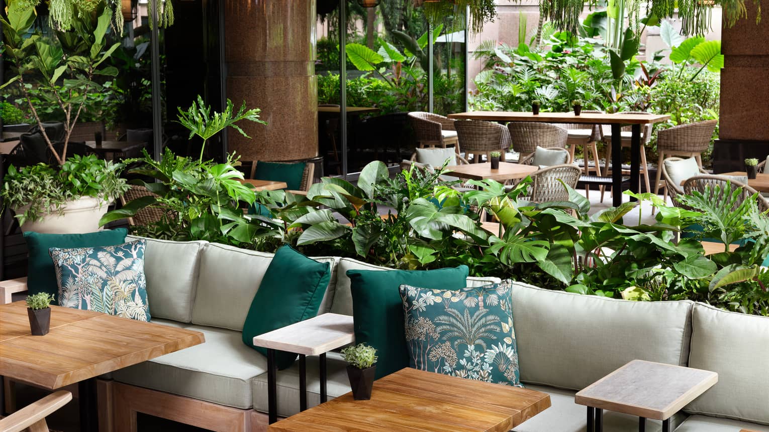 Cream couches, turquoise accent pillows, green foliage hanging from ceiling