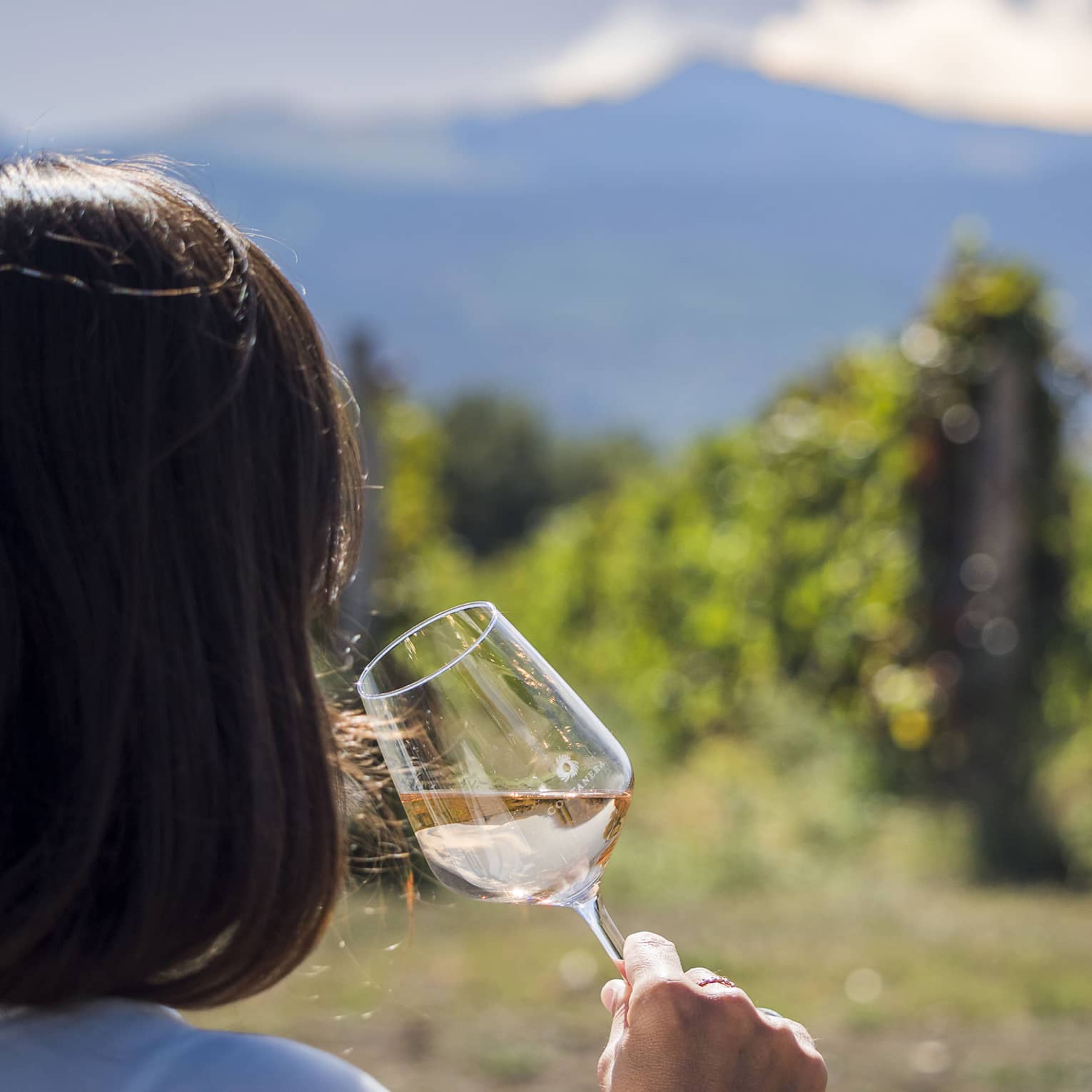 A person enjoys a glass of pale wine in an outdoor setting, with mountain views in the distance.