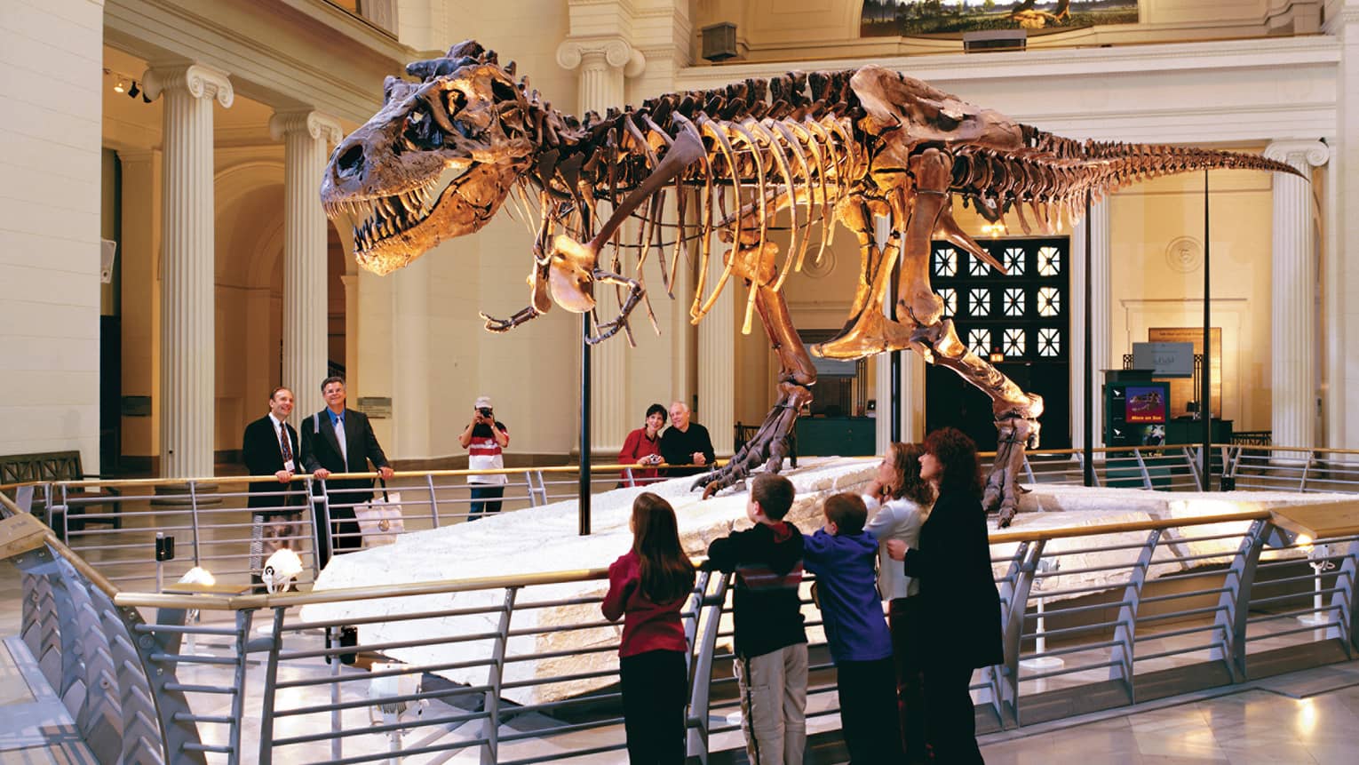 Family looks up at dinosaur bones in museum