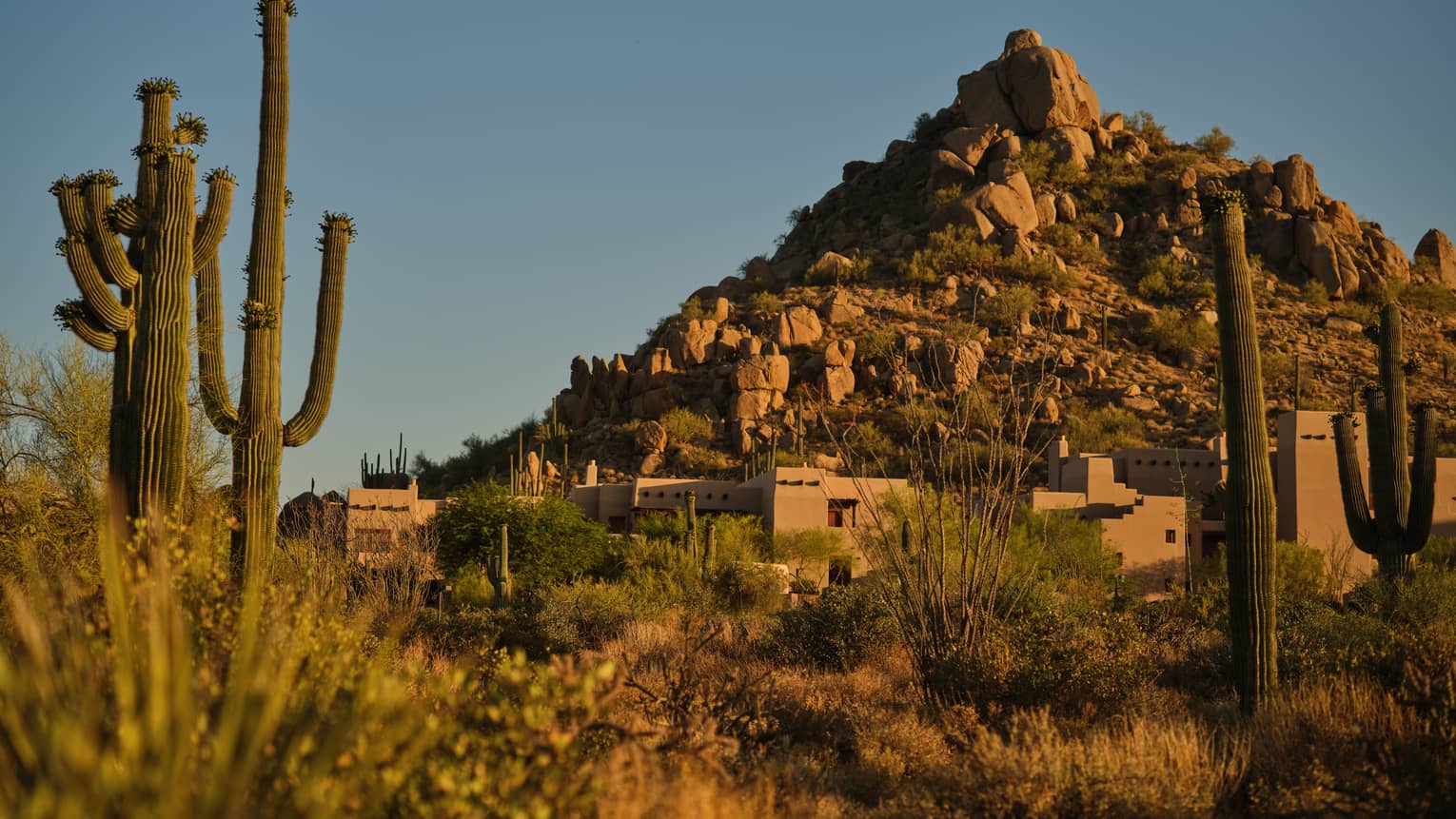 Desert landscape at Four Seasons Resort Scottsdale