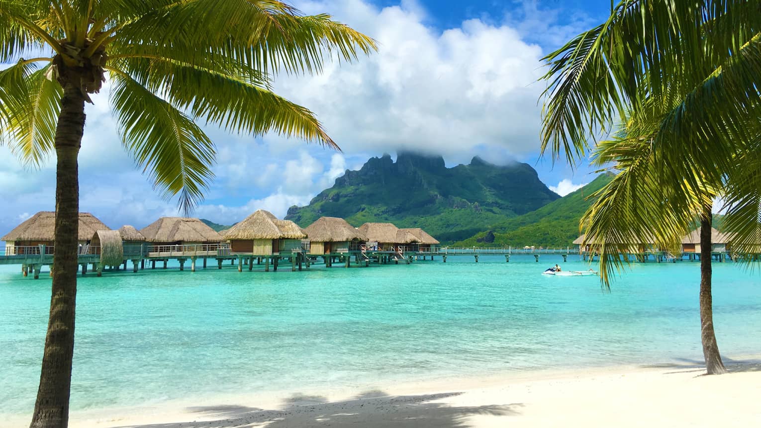 Row of overwater bungalows sit atop clear turquoise water in between two palm trees