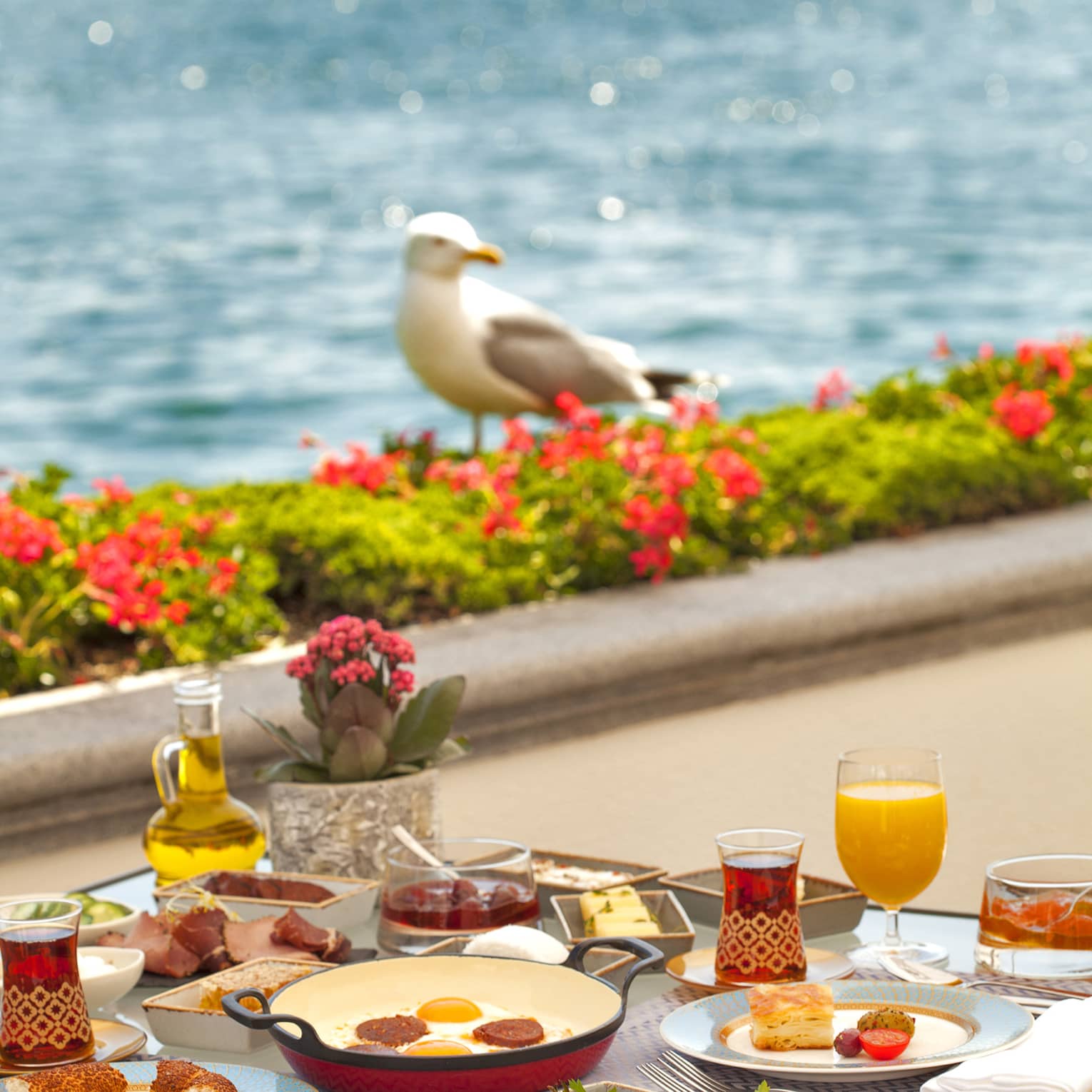 Small table set with breakfast dishes on waterside terrace with flower border, seagull atop