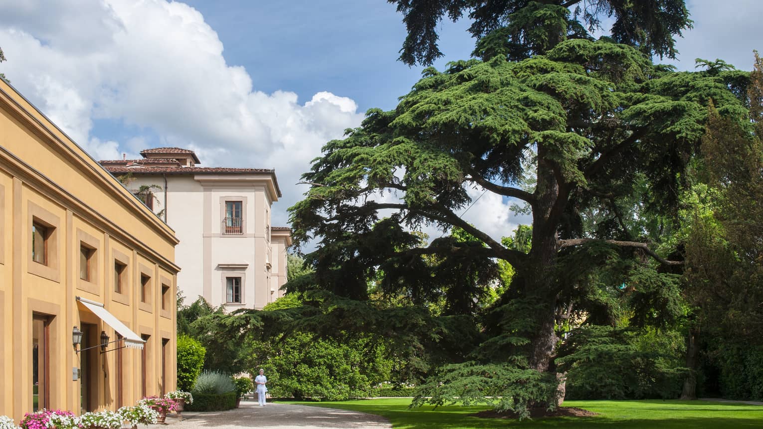 Large tree over garden path outside Four Seasons Hotel Florence