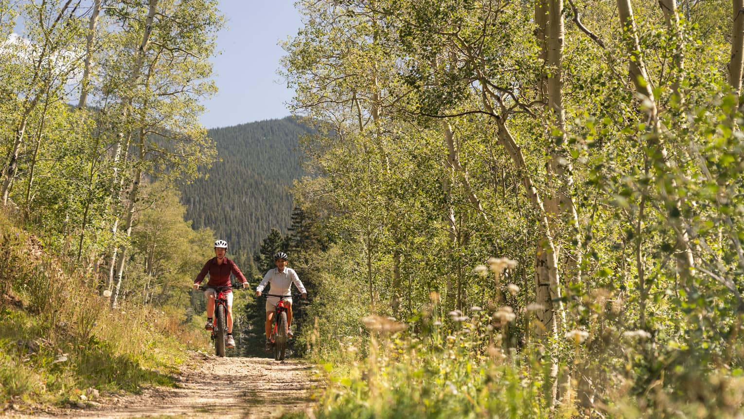 Two people biking down a trail surrounded by thin trees.