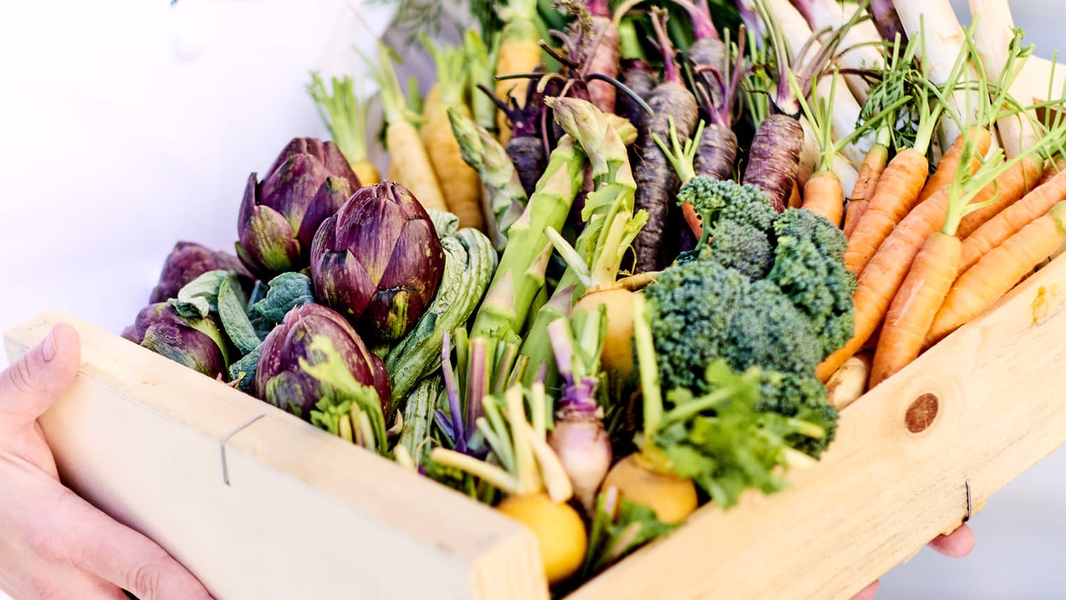 Close up of a basket of fresh and colourful produce being held in the arms of a chef