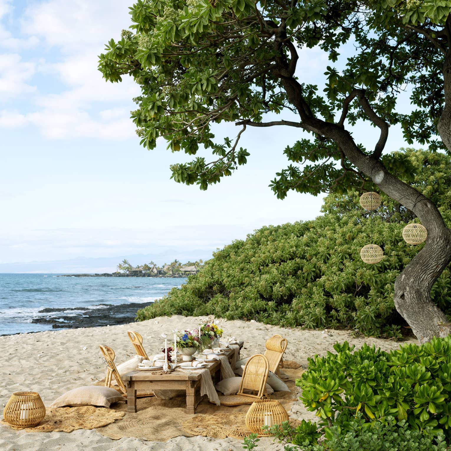 A long, low table elegantly set for gourmet picnic on the beach under a tree
