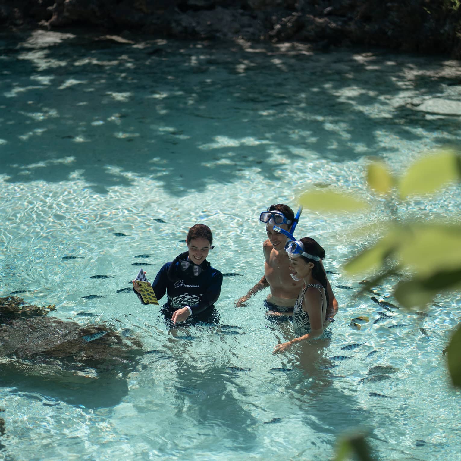 Group of people snorkelling in clear, shallow water, observing small fish and marine life, with rocky formations in the background.
