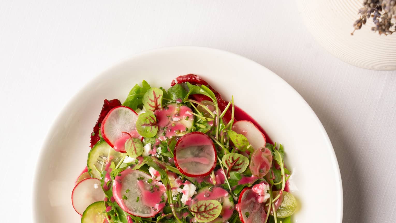 A garden salad consisting of a mix of greens, sliced radish, sliced cucumber and drizzled with a red dressing is served on a white plate