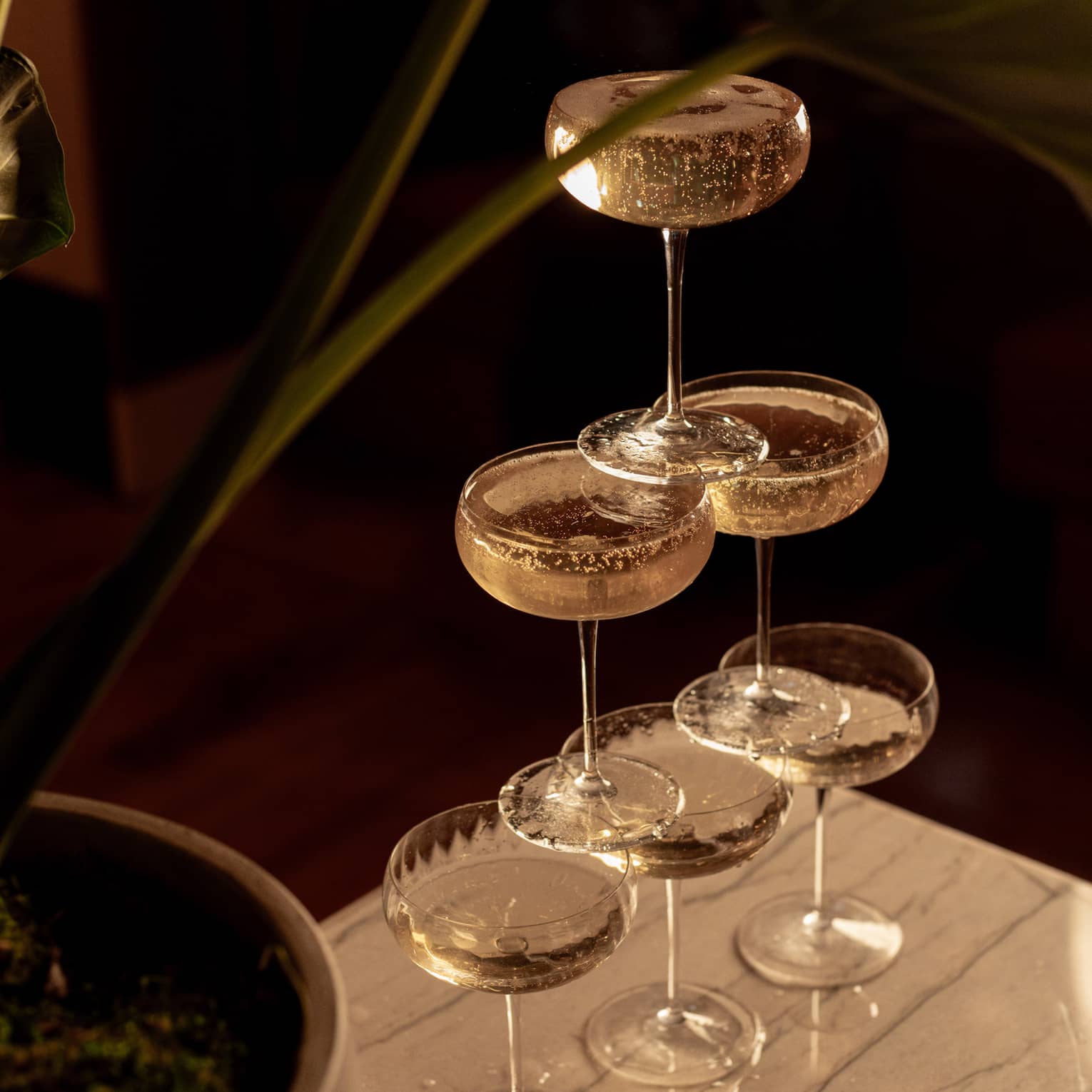 Six coupe Champagne glasses stacked in a pyramid