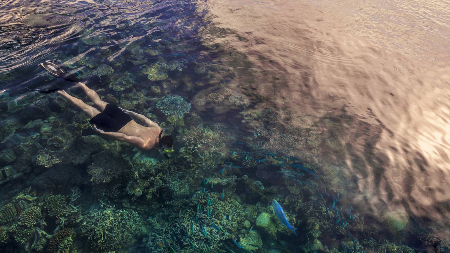 Aerial view of man snorkelling over colourful lagoon in Maldives