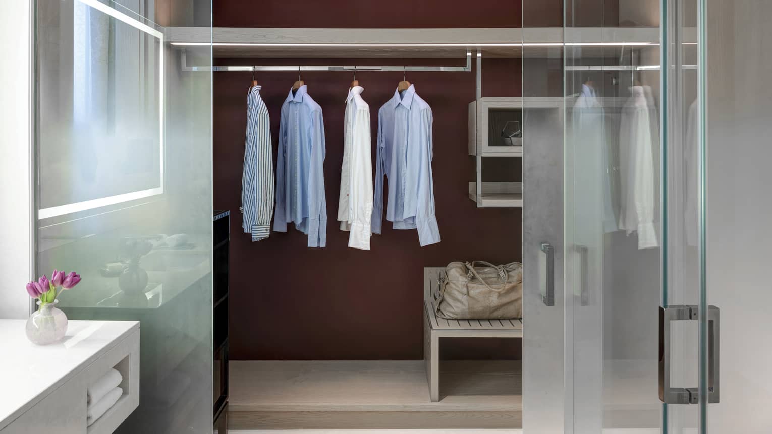 Bathroom and closet with four hanging shirts