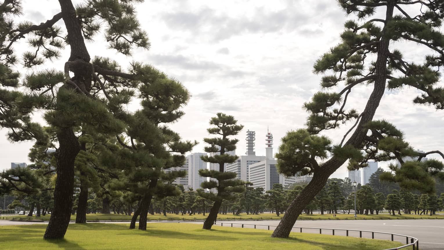Mature trees line an empty street, downtown Tokyo skyline visible in the background