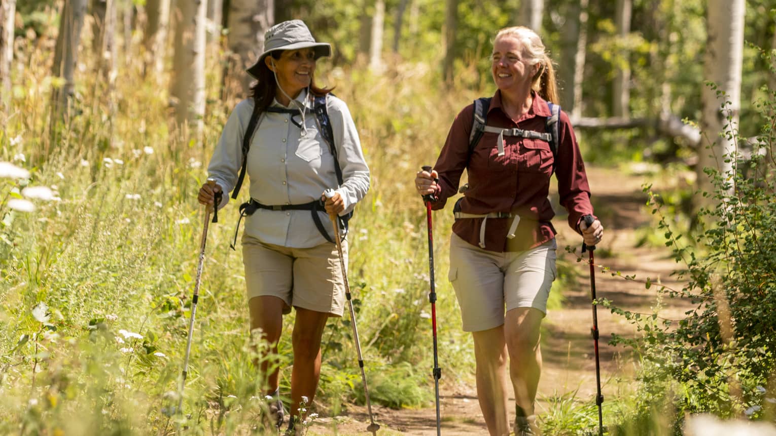 Two smiling hikers with walking poles hike along a sunny path within a golden forest of wildflowers and white-barked trees.