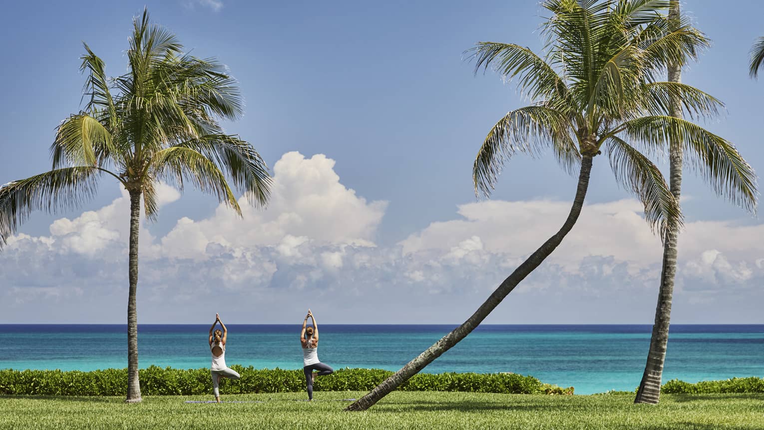 Two people face ocean, stand in yoga poses under tall palm trees