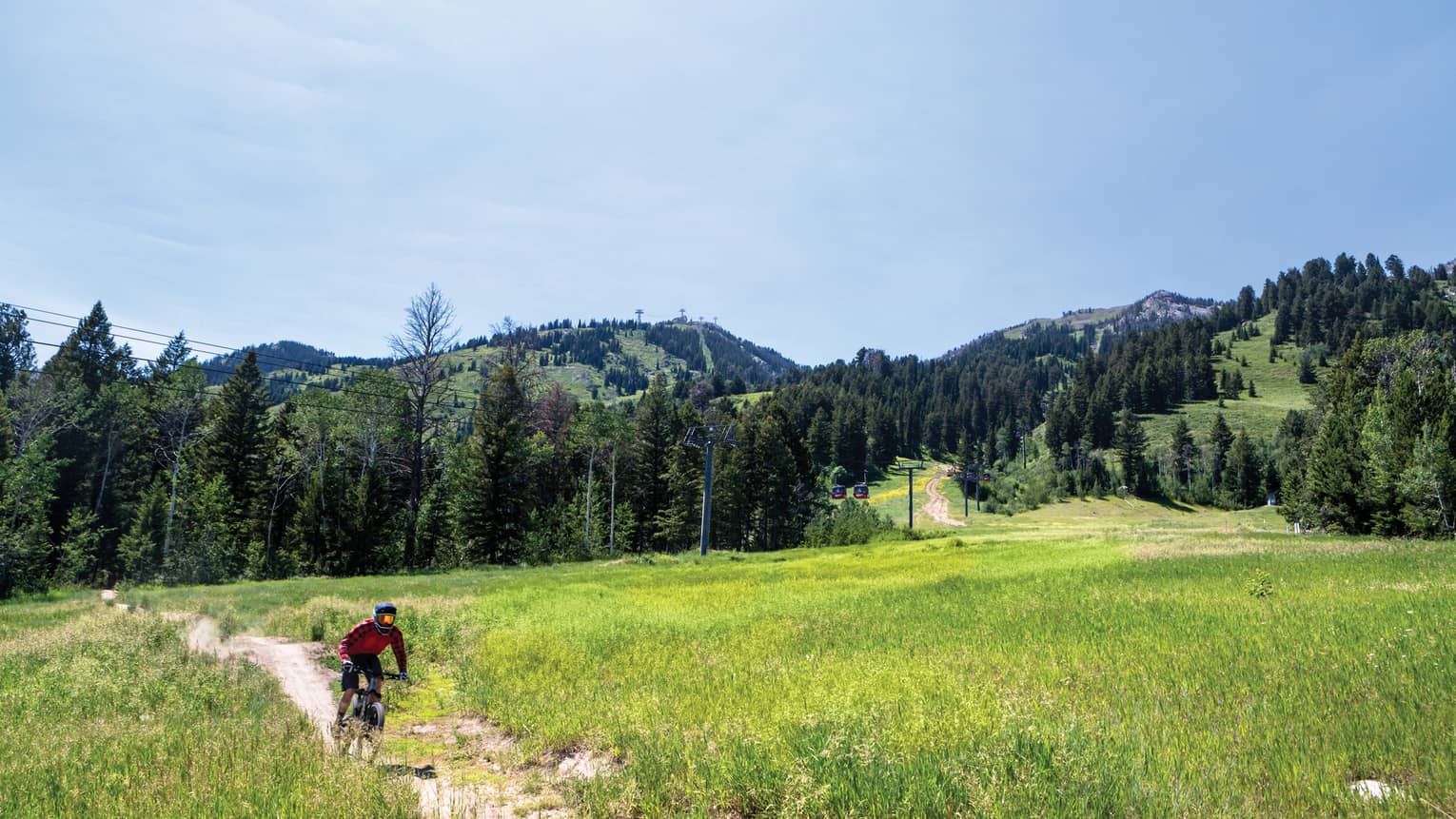 A man cycles down a dirt path, lush greenery surrounding him on all sides 